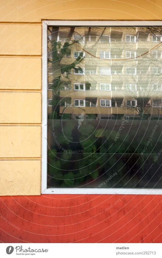 Biosphere Moabit Plant Foliage plant Deserted House (Residential Structure) High-rise Building Wall (barrier) Wall (building) Facade Window Street Growth