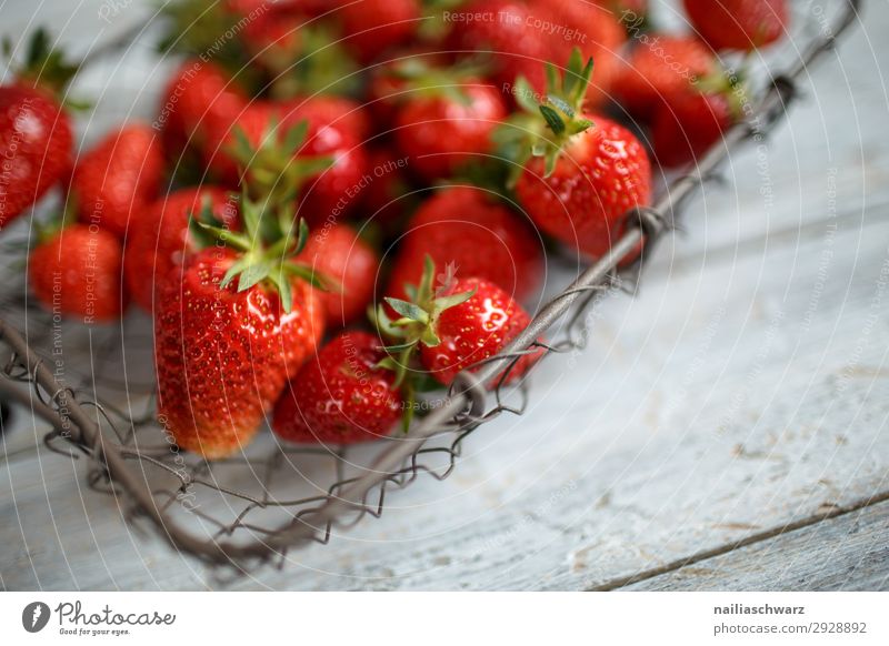 Fresh strawberries Food Fruit Dessert Strawberry Nutrition Organic produce Vegetarian diet Summer Wire basket Basket Wood Metal Fragrance Delicious Retro Juicy