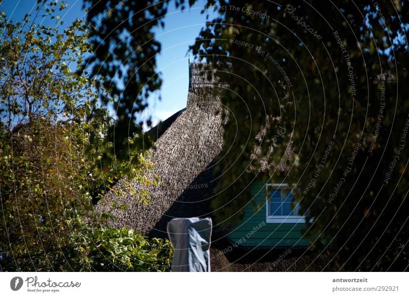 Reed roof under trees Village Fishing village House (Residential Structure) Detached house Dream house Wall (barrier) Wall (building) Roof Serene Colour photo