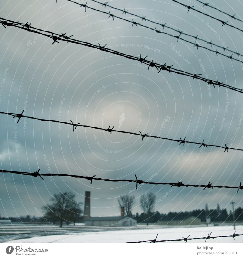 Sachsenhausen Education Gloomy Barbed wire Concentration camp Oranienburg Holocaust memorial Destruction Nazi regime Politics and state Federal eagle