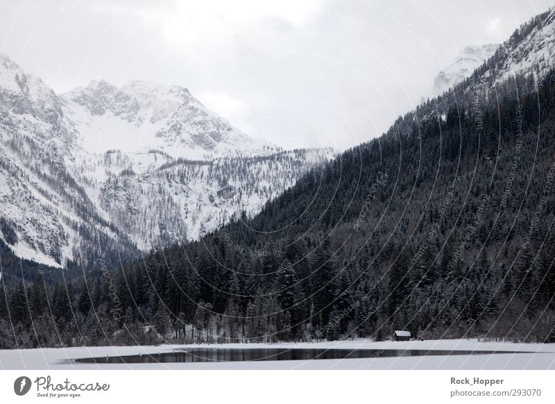 mountain lake Vacation & Travel Freedom Snow Winter vacation Mountain Landscape Plant Air Water Sky Clouds Ice Frost Tree Rock Alps Snowcapped peak Lakeside