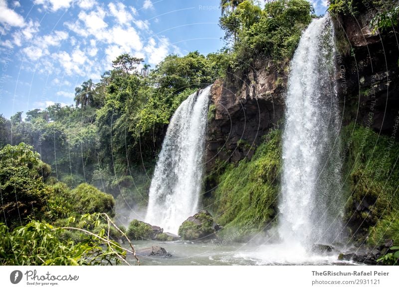 foz iguacu Environment Nature Landscape Esthetic Waterfall Brazil Argentina Iguazu Falls Palm tree Green Impressive Rock Torrents of water River Tourism