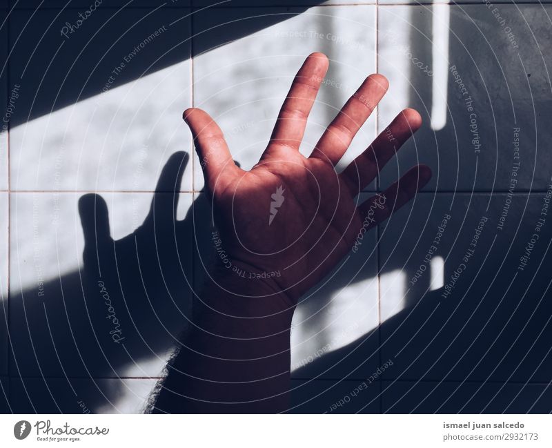 hand shadow silhouette on the wall Hand Fingers Human being Shadow Light (Natural Phenomenon) Sunlight Silhouette Body Interior shot Minimal Minimalistic