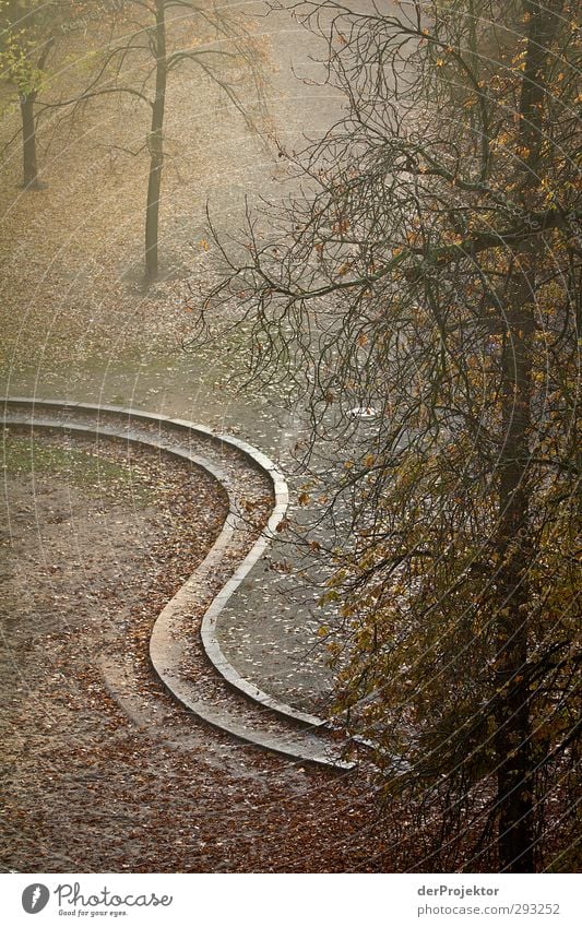 lifeline Landscape Plant Autumn Tree Leaf Capital city Emotions Caution Serene Patient Calm Self Control Hope Belief Humble Boredom Loneliness Wiggly line