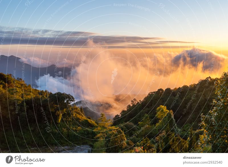 Doi inthanon mountains, Thailand Beautiful Vacation & Travel Tourism Freedom Summer Mountain Hiking Skiing Environment Nature Sky Clouds Tree Park Forest Hill