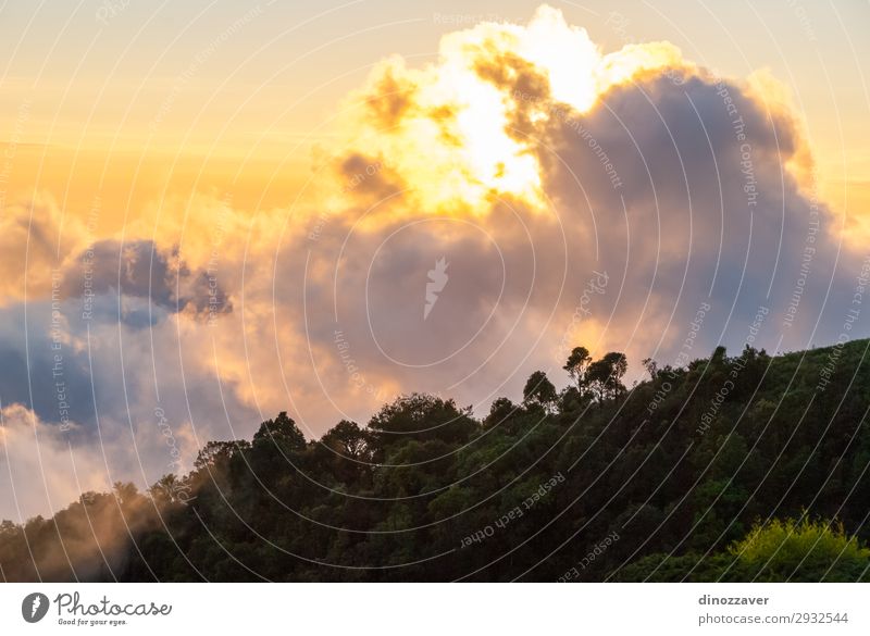 Doi inthanon mountains, Thailand Beautiful Vacation & Travel Tourism Freedom Summer Mountain Hiking Skiing Environment Nature Sky Clouds Tree Park Forest Hill