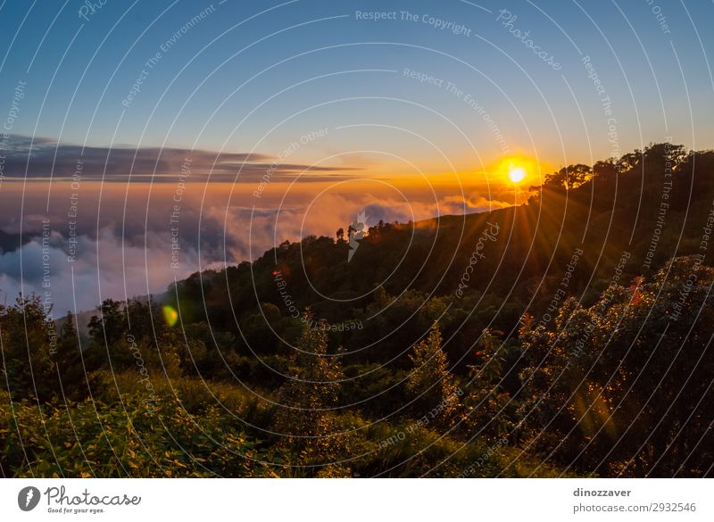 Doi inthanon mountains, Thailand Beautiful Vacation & Travel Tourism Freedom Summer Mountain Hiking Skiing Environment Nature Sky Clouds Tree Park Forest Hill