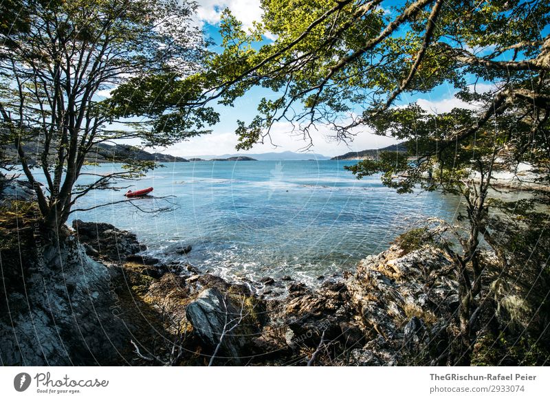 bay Nature Landscape Blue Green Bay Stone Tree Watercraft Ocean South America ushuaia Patagonia tierra del fuego Sea water Beach Colour photo Exterior shot