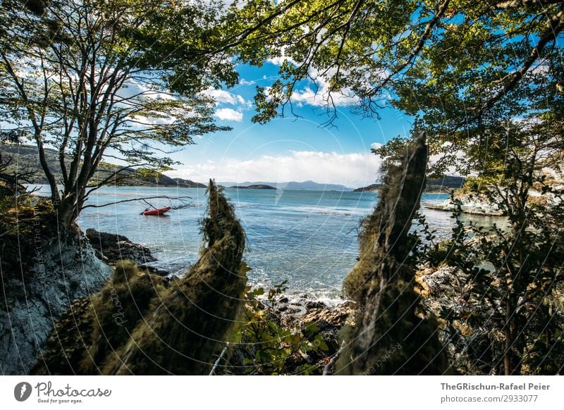 Ushuaia NP Nature Landscape Blue Brown Green Vantage point Bay Watercraft Ocean Tree National Park Rough Clouds Cold Sun Forest Beach Colour photo Exterior shot