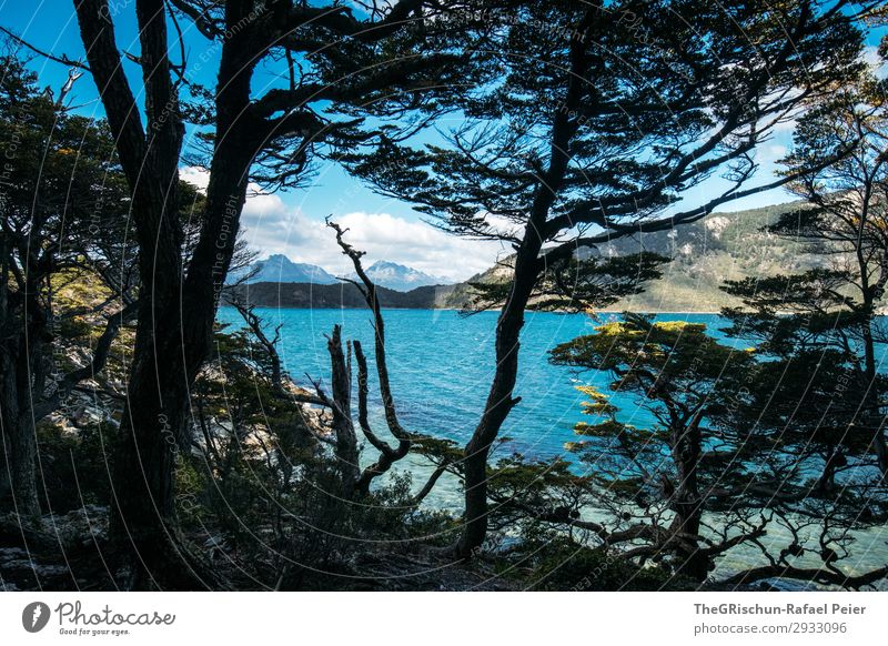 Ushuaia NP Environment Nature Landscape Blue Black Coast Mountain Forest Tree Clouds Hiking Ocean Sea water South America Patagonia Travel photography Discover