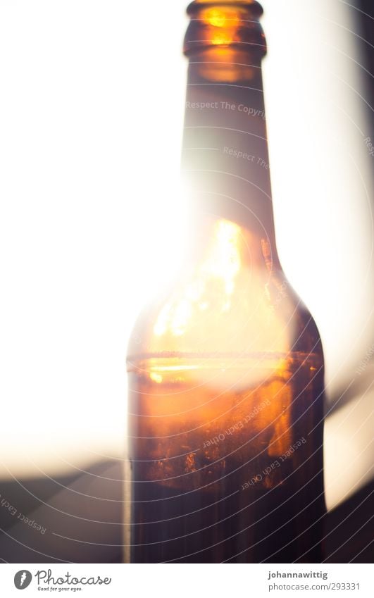 because the light breaks so easily. Beer Bottle Lifestyle Joy Happy Feasts & Celebrations Drinking Joie de vivre (Vitality) Debauchery Relaxation Experience