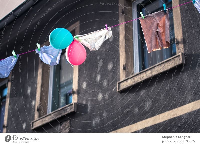 On a leash. Joy Happy Summer Feasts & Celebrations House (Residential Structure) Clothing Balloon Happiness Clean Colour Serene Life Joie de vivre (Vitality)