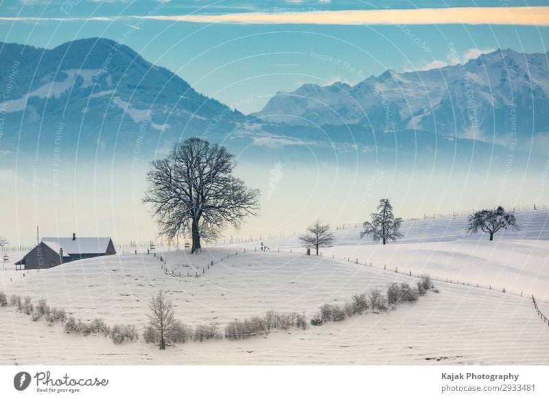 Winter landscape in Switzerland Environment Nature Landscape Air Sky Clouds Horizon Beautiful weather Fog Tree Bushes Mountain Alps Pre-alpes Village Deserted