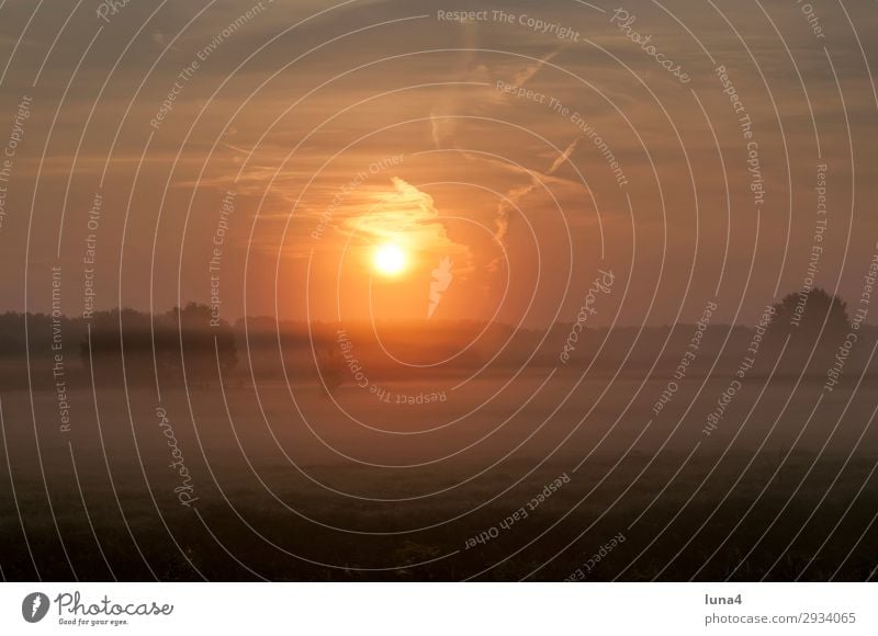 Sunrise over a field Calm Environment Nature Landscape Autumn Weather Fog Tree Meadow Field Forest Yellow Green Red Moody Romance Idyll Morning fog Haze