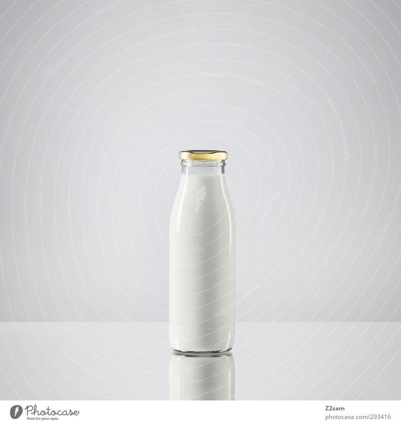 milk Food Cheese Yoghurt Dairy Products Milk Bottle Esthetic Simple Fluid Fresh Healthy Bright Clean White Design Arrangement Pure Symmetry Still Life Reduced