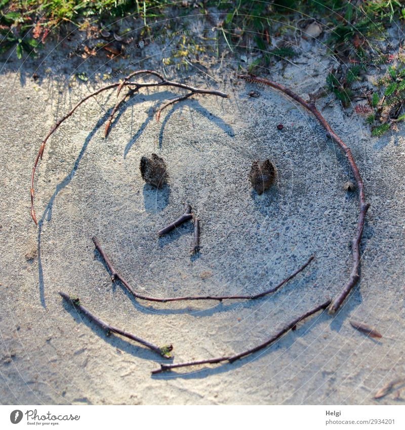 smiling face, laid out of twigs and beechnuts on a stone slab Plant Grass Decoration Smiley Twigs and branches Stone Sand Sign Line Smiling Lie Exceptional