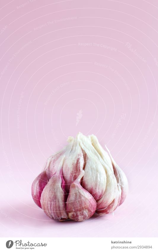 Fresh garlic on a light pink background Vegetable Herbs and spices Vegetarian diet Decline Garlic bulb ingrerient Clove food health healthy Organic Raw