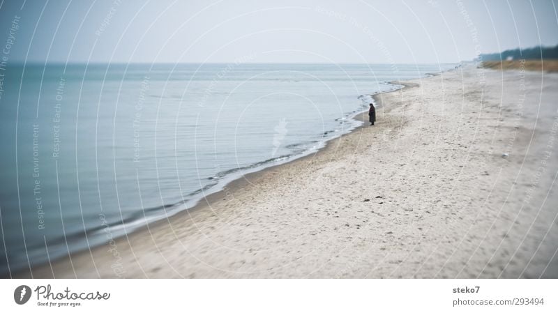 beach-alone Human being Female senior Woman 1 Winter Coast Beach Baltic Sea Observe Stand Wait Senior citizen Loneliness Relaxation Winter walk Subdued colour