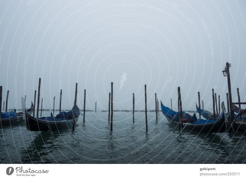 Gondolas in the fog Bad weather Fog Venice Port City Means of transport Traffic infrastructure Navigation Passenger ship Gondola (Boat) Gloomy Blue Sadness