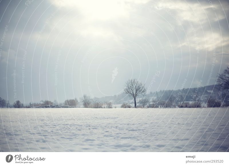 www Environment Nature Landscape Winter Snow Field Cold Natural Blue Colour photo Subdued colour Exterior shot Deserted Day Shallow depth of field