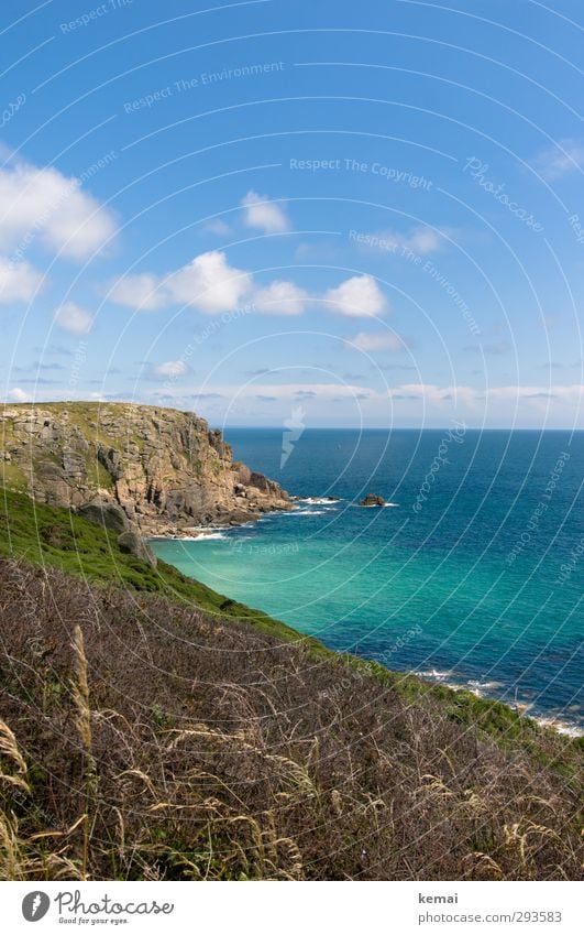 Cornwall Environment Nature Landscape Plant Elements Water Sky Clouds Sunlight Summer Beautiful weather Warmth Bushes Moss Rock Coast Bay Ocean Island England