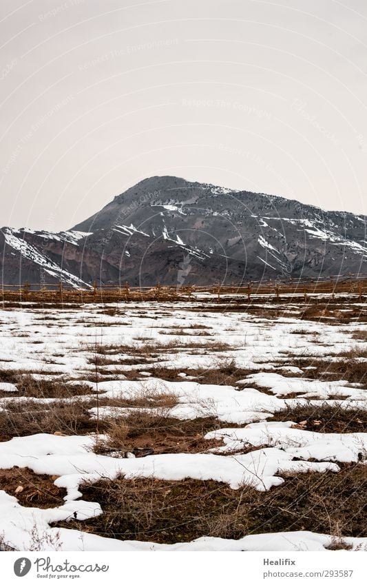 Last snow in the Caucasus Environment Nature Landscape Winter Bad weather Ice Frost Snow Grass Hill Mountain Peak Armenia Deserted Dark Cold Wild Brown White