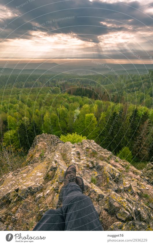 beautiful north - Hesse Environment Nature Landscape Plant Sky Clouds Horizon Sun Sunrise Sunset Spring Summer Autumn Climate Beautiful weather Tree Bushes