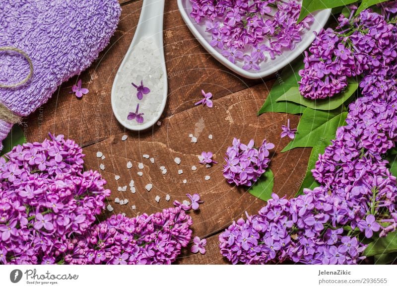 Aromatherapy, wellness and spa with lilac flowers Bowl Lifestyle Beautiful Body Skin Cosmetics Medical treatment Wellness Relaxation Spa Table Nature Flower