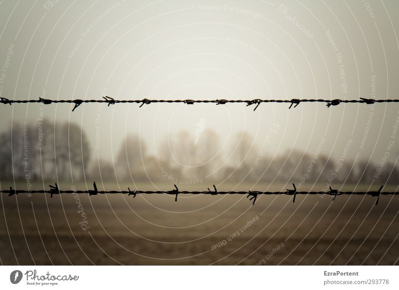 framed landscape Environment Nature Landscape Sky Autumn Climate Bad weather Fog Tree Field Forest Natural Gloomy Brown Yellow Black Barbed wire fence Frame