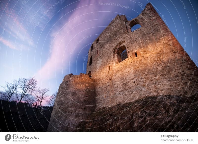 forgotten places Nature Sky Clouds Sunrise Sunset Sunlight Autumn Beautiful weather Plant Tree Castle Ruin Wall (barrier) Wall (building) Facade Window