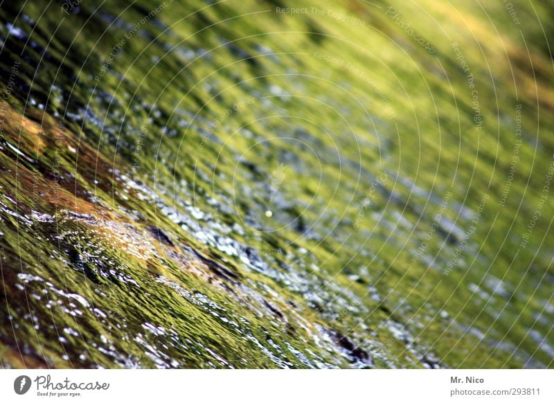 moss ointment Environment Nature Water Lake Brook River Calm Surface of water Reflection Mountain stream Whirlpool Hissing Refreshment Source Clean Fresh