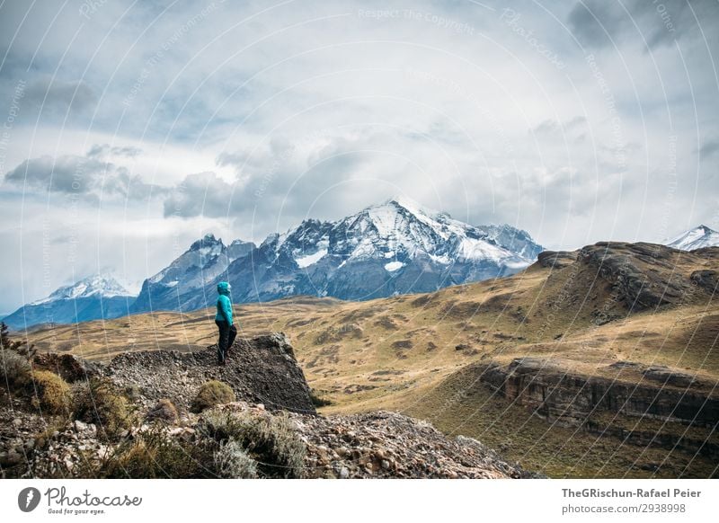 explorers Nature Landscape Blue Gray Black Turquoise White Patagonia Human being Vantage point Discover Mountain Chile Torrs del Paine South America Rough Wind