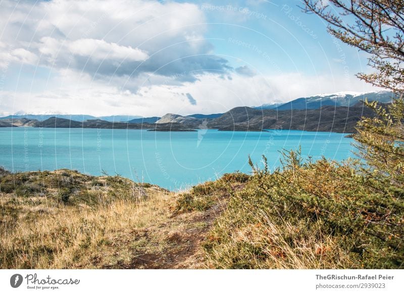 Turquoise lake in Torres del Paine National Park Environment Nature Landscape Blue Brown Gold Multicoloured Lake Torres del Paine NP Mountain Wind Clouds