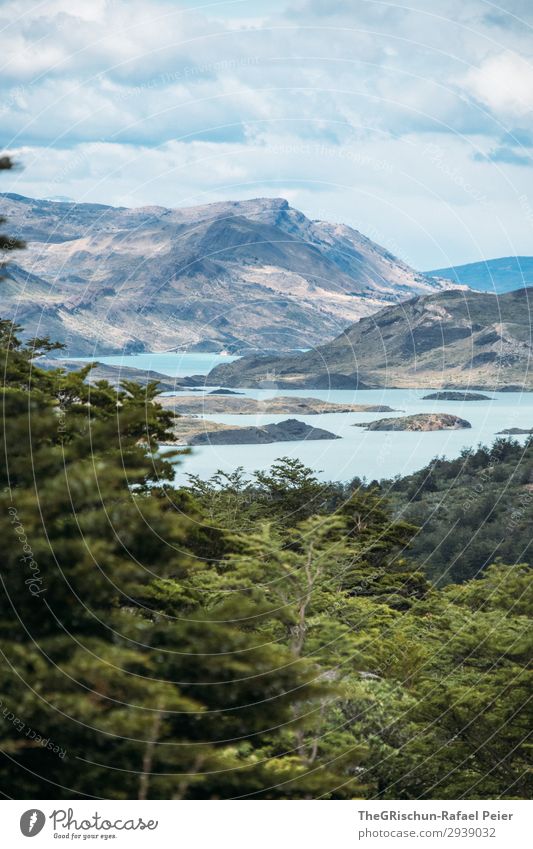 lake Environment Nature Landscape Blue Turquoise Lake Bergen Forest Patagonia Chile National Park Green Clouds Vantage point Wind Weather Colour photo