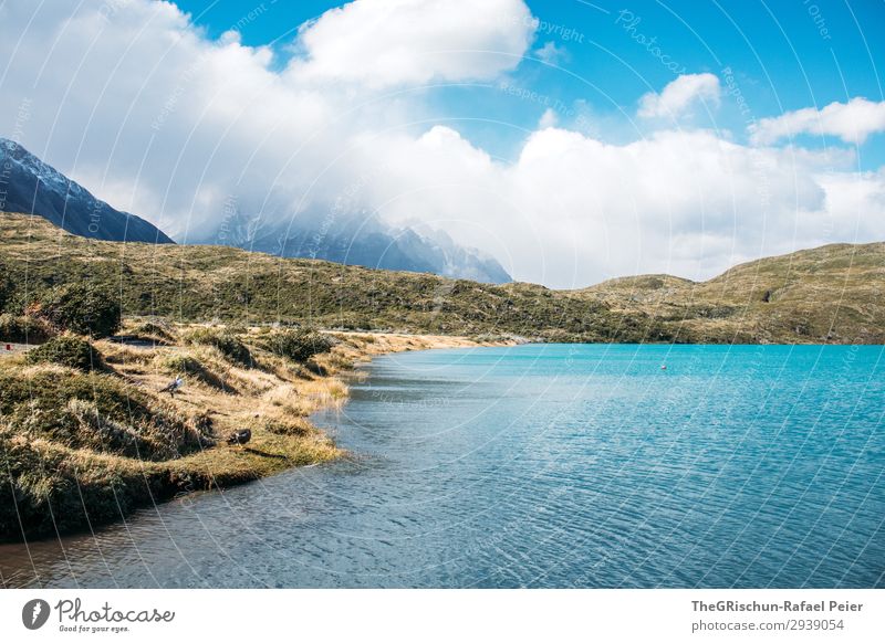 Turquoise lake in Torres del Paine National Park Environment Nature Landscape Blue Green Water Coast Hiking Boating trip Torres del Paine NP Chile Patagonia