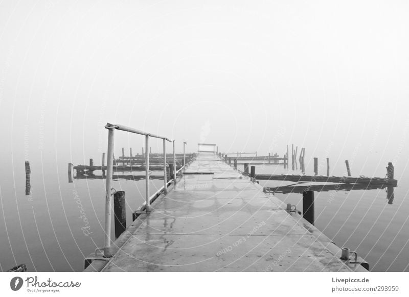 there bridge Nature Landscape Water Sky Clouds Autumn Bad weather Fog Lakeside Bridge Lie Gray Black White Serene Calm Loneliness Stagnating Far-off places