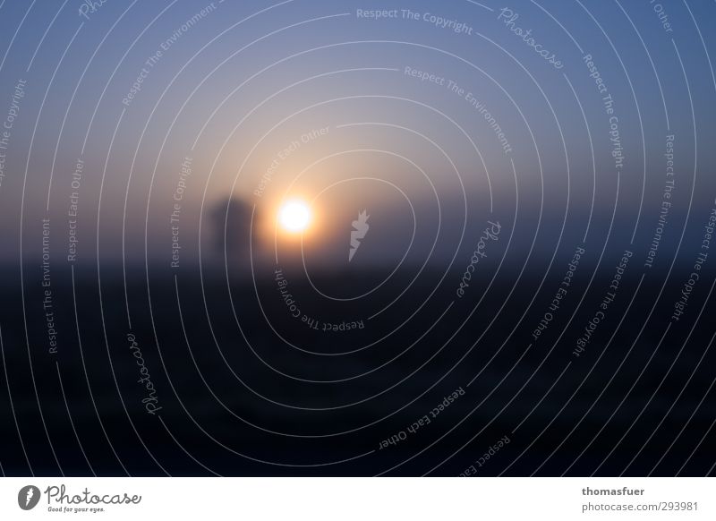 heavy blue (300) Nature Earth Fire Air Cloudless sky Horizon Sunrise Sunset Winter Beautiful weather Fog Tree Field Exceptional Fantastic Far-off places Blue