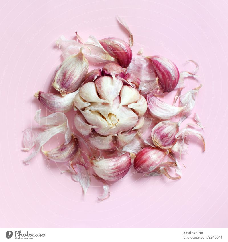 Fresh garlic on a light pink background Vegetable Herbs and spices Vegetarian diet Above Decline Garlic bulb ingrerient Clove pastel food health healthy Organic