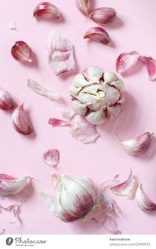 Fresh garlic on a light pink background Vegetable Herbs and spices Vegetarian diet Above Decline Garlic bulb ingrerient Clove pastel food health healthy Organic