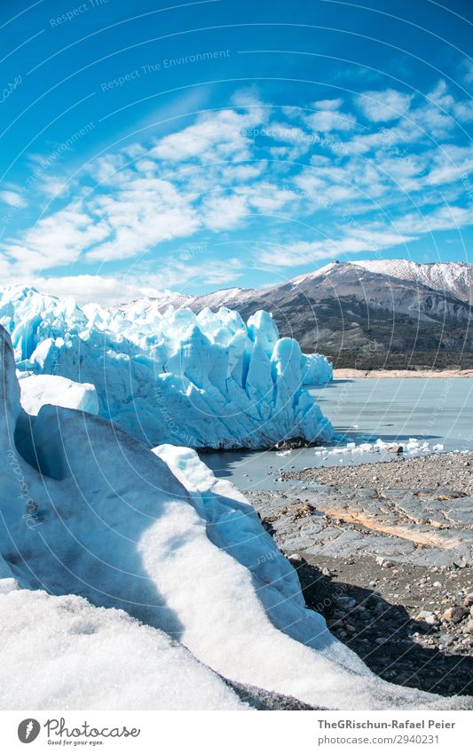 Perito Moreno Glacier Environment Nature Landscape Blue White Coast Lake Iceberg Argentina Walking Discover Snow Mountain Ice sculpture Colour photo