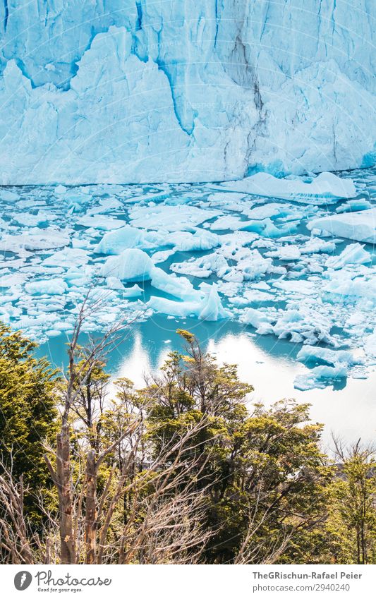 Perito Moreno Glacier Nature Blue Turquoise White Water Reflection Tree Lake Ice floe Float in the water Crack & Rip & Tear To break (something) Impressive