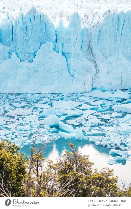 Perito Moreno - Glacier Nature Blue Turquoise White Perito Moreno Glacier Argentina Patagonia Reflection Water Lake Ice Ice floe Float in the water Tree