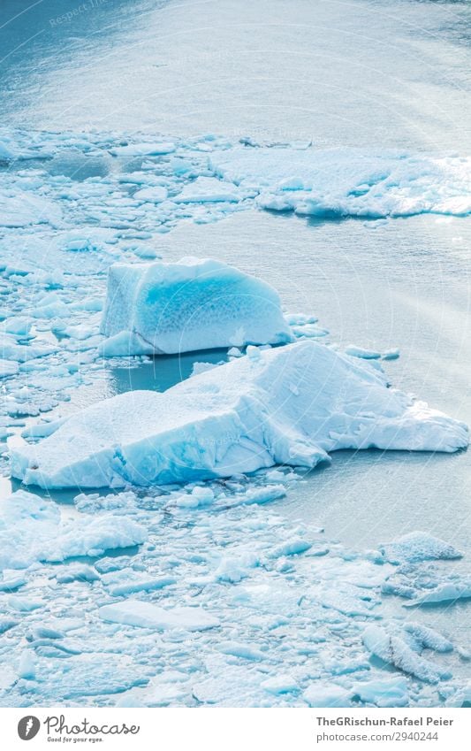 Ice floe Nature Blue Turquoise White Glacier Perito Moreno Glacier Float in the water Argentina Melt Water Snow Iceberg Cold Colour photo Exterior shot Deserted