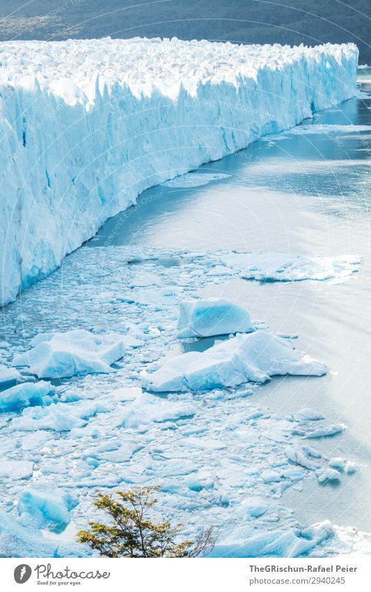 Perito Moreno Glacier Nature Blue Turquoise White Ice floe Iceberg Water To break (something) Lake Snow Argentina Patagonia Colour photo Exterior shot Deserted