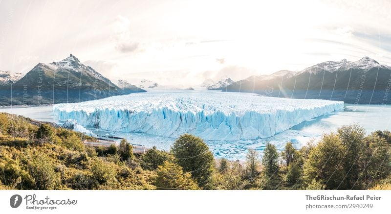 Perito Moreno Glacier in Patagonia (Argentina) - Sunset Nature Blue Turquoise White Snow Ice Tree Back-light Mountain Water Lake Melt Panorama (Format) Clouds