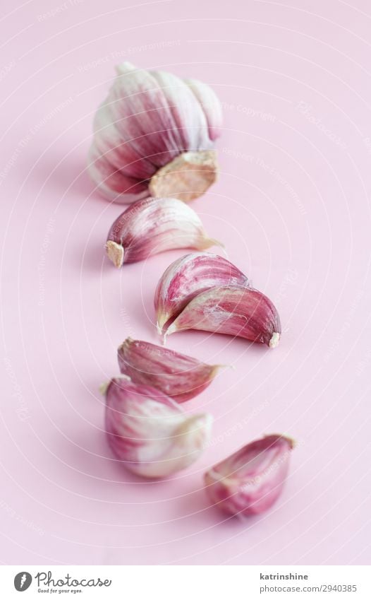 Fresh garlic on a light pink background Vegetable Herbs and spices Vegetarian diet Decline Garlic bulb ingrerient Clove pastel food health healthy Organic Raw