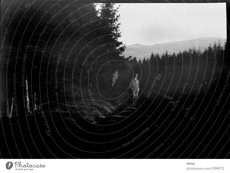 Schatten | Grandfather's Evening Stroll Masculine 1 Human being 45 - 60 years Adults Environment Nature Landscape Sky Forest Stand Old Dark Historic Caution