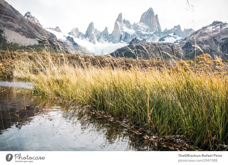 Fitz Roy Environment Nature Landscape Gray Green Black White Fitz Roy mountain Grass Lake Reflection Mountain Argentina el chalten South America Patagonia