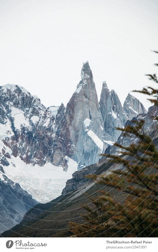 Cerro Torre Nature Landscape Blue Gray Black White Argentina Mountain Hiking Climbing Glacier Patagonia Point Rock Vantage point Clouds Colour photo