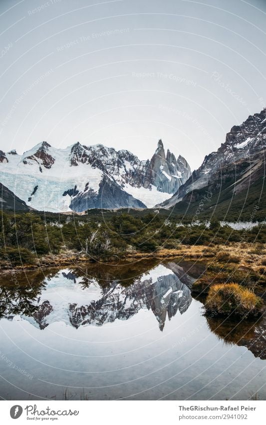 mountain lake Environment Nature Landscape Brown Gray Green White Cerro Torre Argentina Patagonia Lake Reflection Mountain range Tree Bushes Vantage point